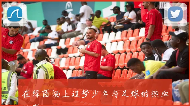 在绿茵场上追梦少年与足球的热血故事