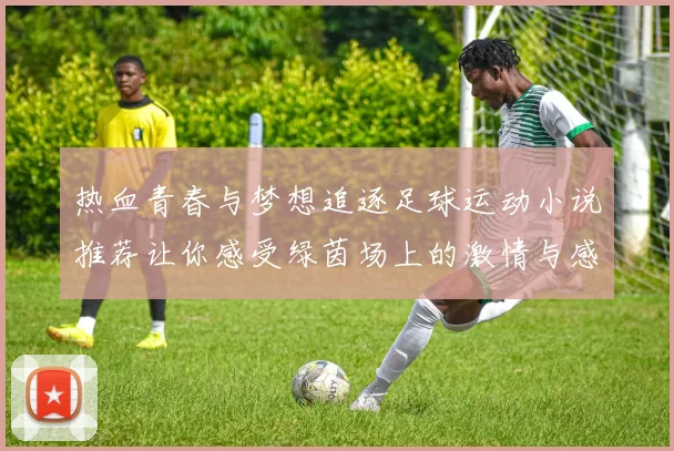 热血青春与梦想追逐足球运动小说推荐让你感受绿茵场上的激情与感动