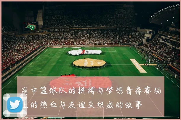 高中篮球队的拼搏与梦想青春赛场上的热血与友谊交织成的故事