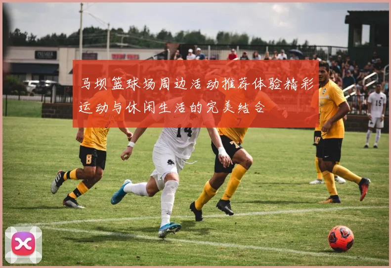 马坝篮球场周边活动推荐体验精彩运动与休闲生活的完美结合