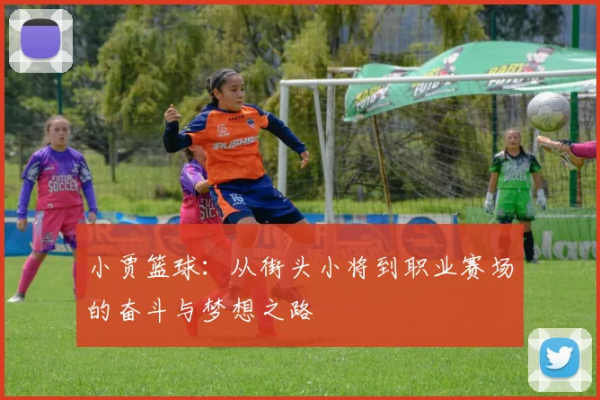 小贾篮球：从街头小将到职业赛场的奋斗与梦想之路